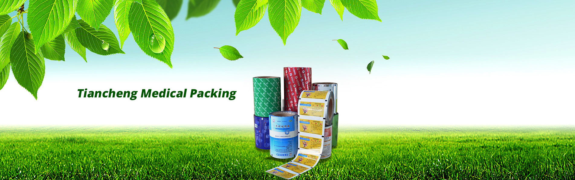 Zhejiang Tiancheng Pharmaceutical Packaging Co., Ltd